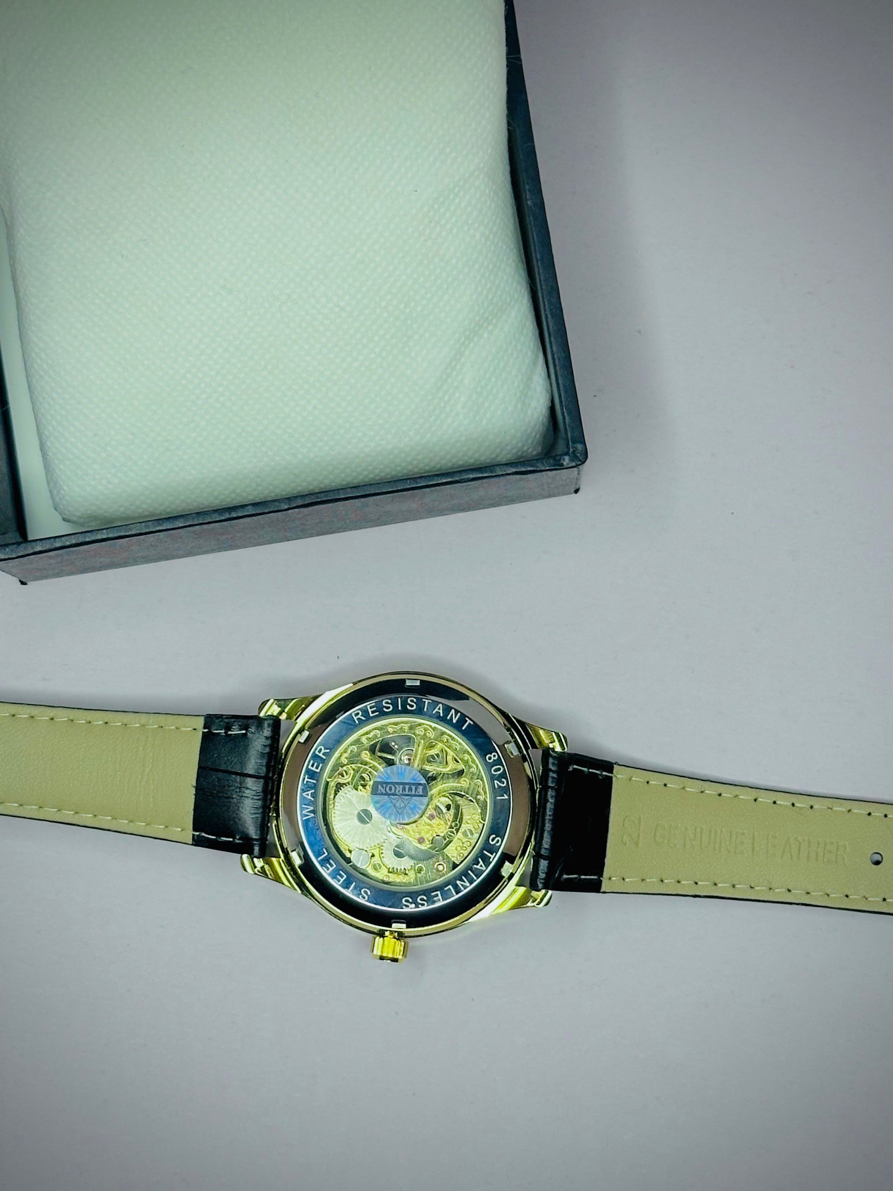 FITRON Skeleton Automatic Wrist Watch – Black Leather Strap